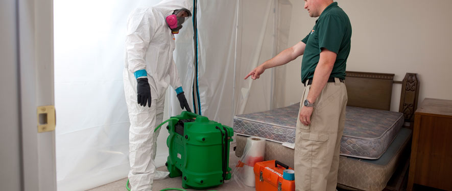 Myrtle Beach, SC mold removal process